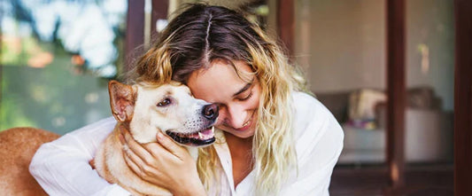 Comment reconnaître l’allergie alimentaire chez le chien ?