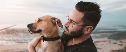 Mon chien vomit, que faire ?