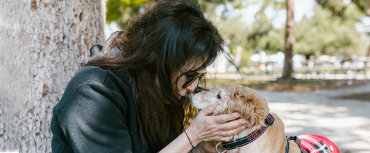 jeune femme caressant un vieux chien