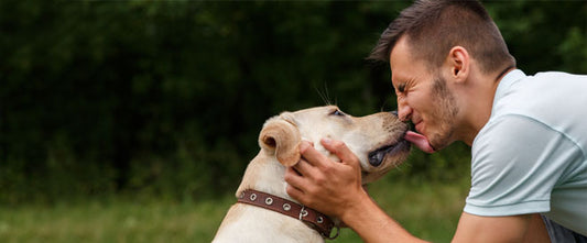 homme se faisant lécher le visage par un chien