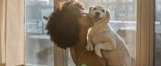 Le ventre de mon chien gargouille, est-ce normal ?