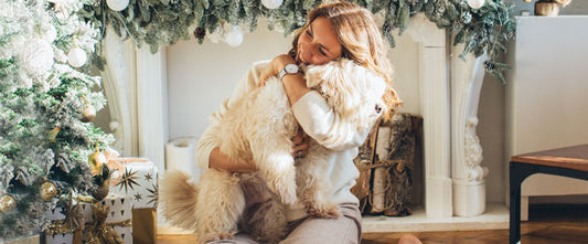 Chien stressé : comment limiter l’anxiété pendant les fêtes?