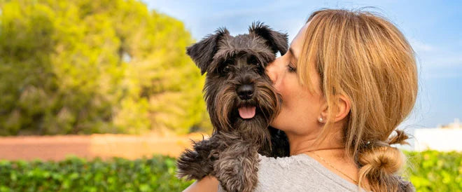Les bienfaits de la moule verte pour votre chien en 7 questions