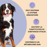 PROTECT - immunité