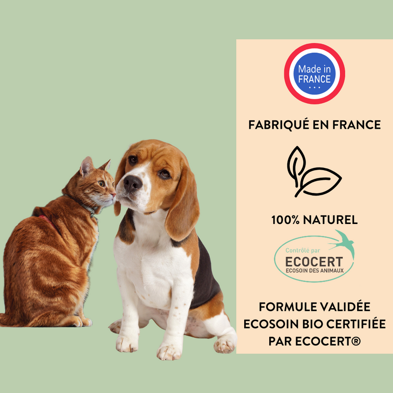Baume bio truffe et coussinets