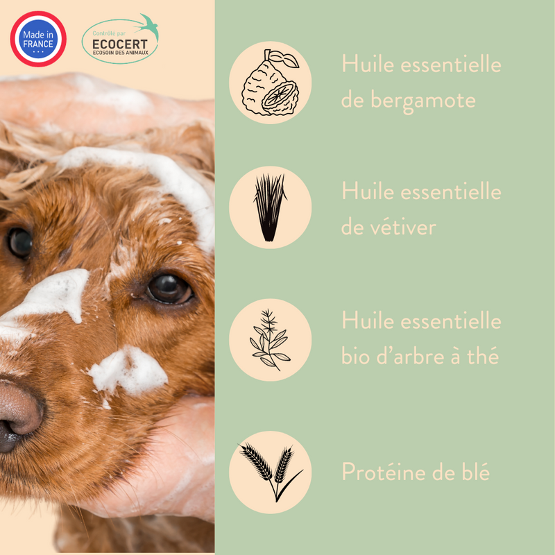 Shampoing bio anti démangeaisons