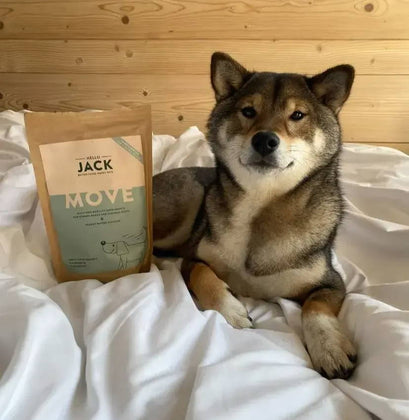 Hello Jack GmbH